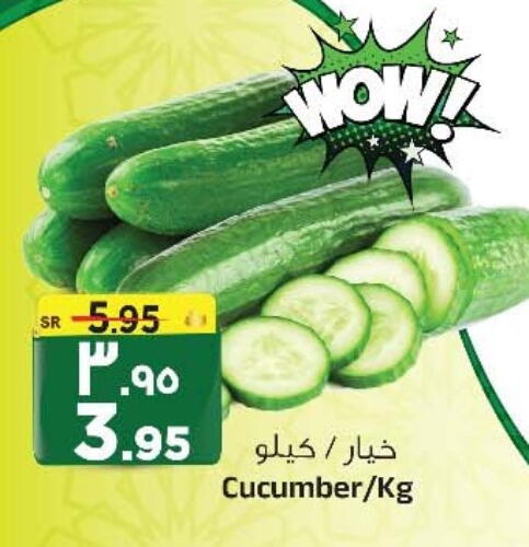  Cucumber  in المدينة هايبرماركت in مملكة العربية السعودية, السعودية, سعودية - الرياض