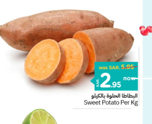  Sweet Potato  in Nesto in KSA, Saudi Arabia, Saudi - Buraidah