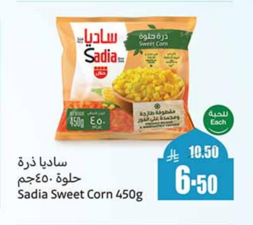 SADIA available at Othaim Markets in KSA, Saudi Arabia, Saudi - Rafha