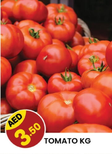  Tomato  in Fresh Spike Supermarket in UAE - Dubai