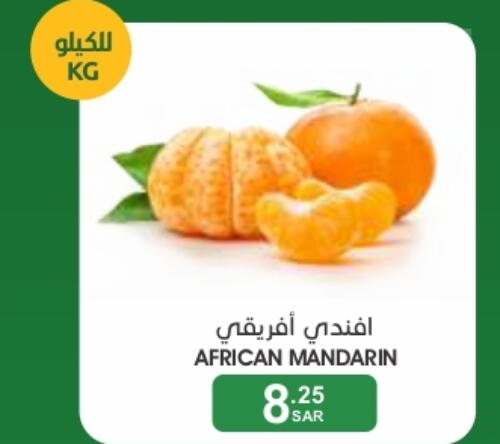  Orange  in  مـزايــا in مملكة العربية السعودية, السعودية, سعودية - القطيف‎