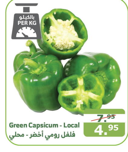  Chilli / Capsicum  in Al Raya in KSA, Saudi Arabia, Saudi - Abha