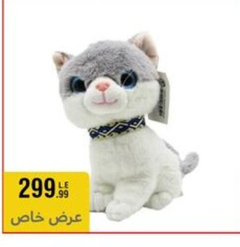 available at المرشدي in Egypt - القاهرة