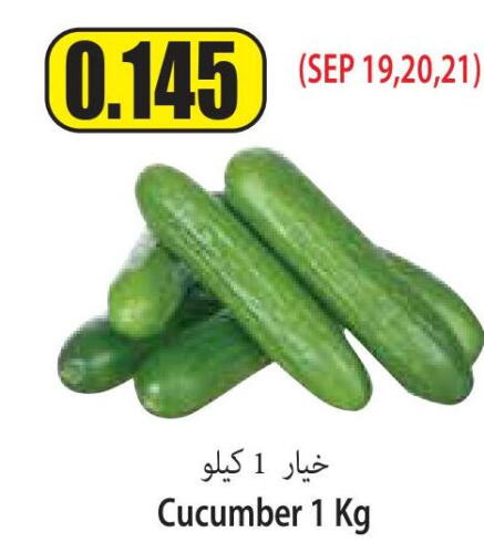  Cucumber  in سوق المركزي لو كوست in الكويت - مدينة الكويت