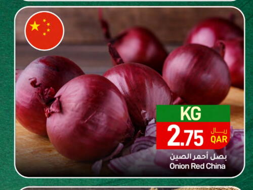  Onion  in SPAR in Qatar - Al Rayyan