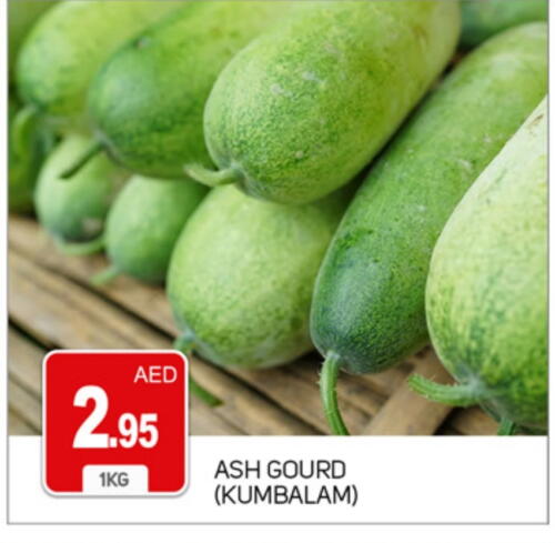 Gourd available at TALAL MARKET in UAE - Dubai