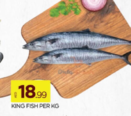  King Fish  in AL MADINA (Dubai) in UAE - Dubai