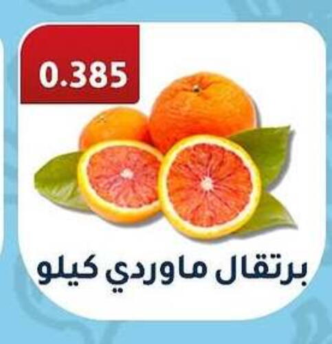 برتقال available at جمعية فحيحيل التعاونية in الكويت - مدينة الكويت