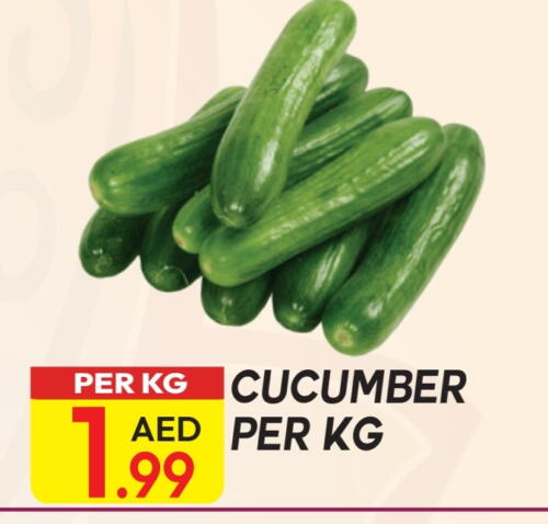 Cucumber available at Dream Land in UAE - Dubai