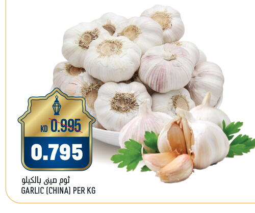 Garlic from China available at Oncost in Kuwait - Kuwait City