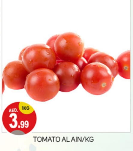  Tomato  in TALAL MARKET in UAE - Dubai