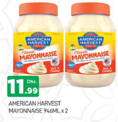 AMERICAN HARVEST Mayonnaise available at AL MADINA (Dubai) in UAE - Dubai