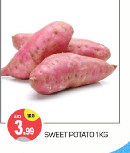 Sweet Potato available at سوق طلال in الإمارات العربية المتحدة , الامارات - دبي