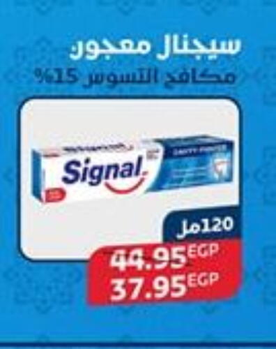 SIGNAL Toothpaste available at Exception Market in Egypt - Cairo