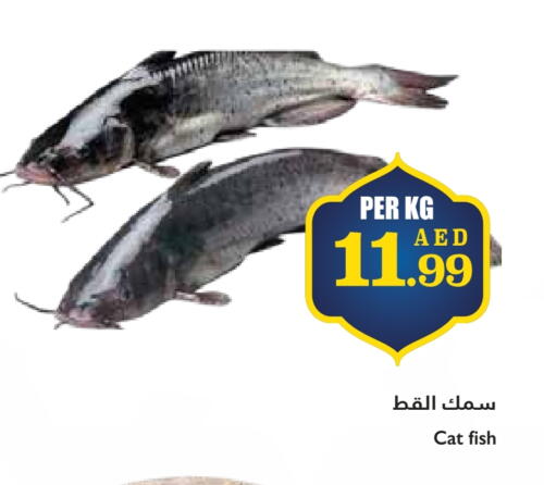 available at تروليز سوبرماركت in الإمارات العربية المتحدة , الامارات - الشارقة / عجمان