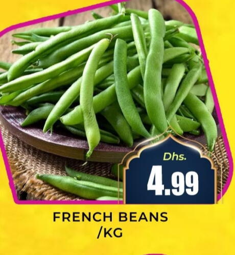 Beans from France available at Meena Al Madina Hypermarket  in UAE - Sharjah / Ajman