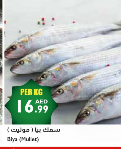 available at Istanbul Supermarket in UAE - Dubai