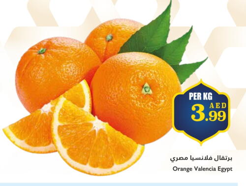 Orange from Egypt available at Trolleys Supermarket in UAE - Dubai