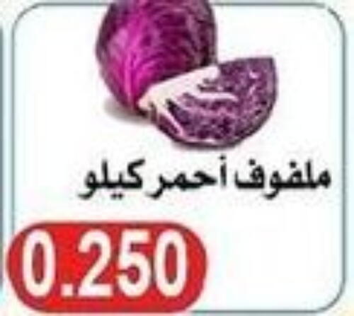  Cabbage  in  Al Naeem coop in Kuwait - Jahra Governorate