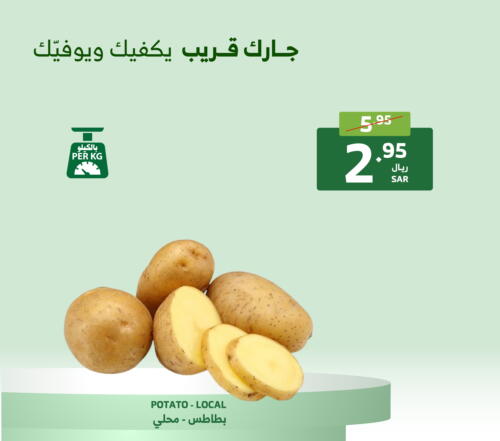  Potato  in Al Raya in KSA, Saudi Arabia, Saudi - Mecca