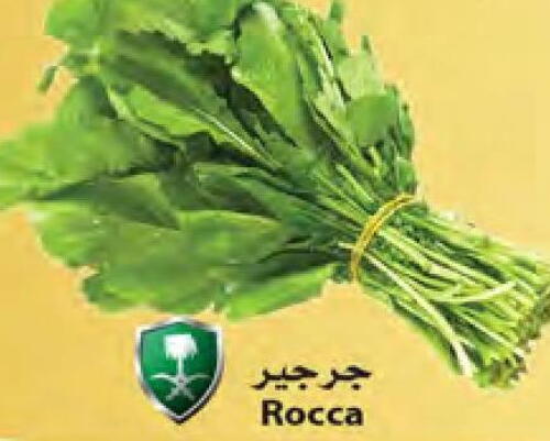 Vegs in Star Markets, Saudi Arabia Offers - Saudi Arabia Till 29th March
