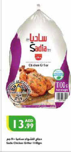 SADIA Frozen Whole Chicken  in Istanbul Supermarket in UAE - Al Ain