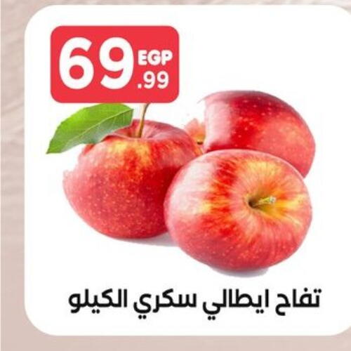  Apples  in المحلاوي ستورز in Egypt - القاهرة