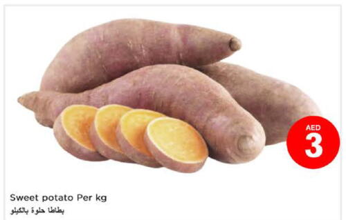  Sweet Potato  in نستو هايبرماركت in الإمارات العربية المتحدة , الامارات - الشارقة / عجمان