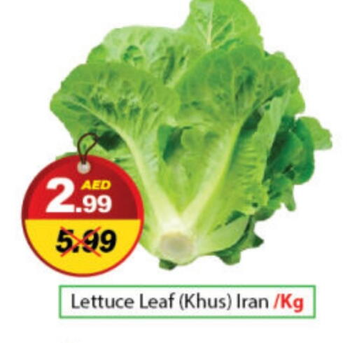 Lettuce from Iran available at ديزرت فريش ماركت in الإمارات العربية المتحدة , الامارات - أبو ظبي