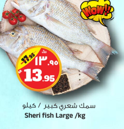 available at Al Madina Hypermarket in KSA, Saudi Arabia, Saudi - Riyadh