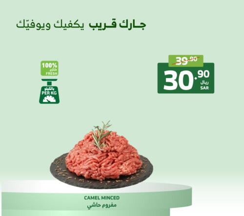  Camel meat  in Al Raya in KSA, Saudi Arabia, Saudi - Mecca