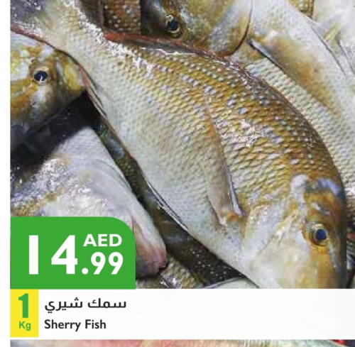 available at إسطنبول سوبرماركت in الإمارات العربية المتحدة , الامارات - الشارقة / عجمان