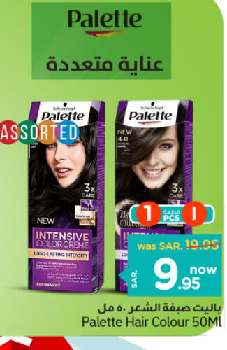 PALETTE Hair Colour  in Nesto in KSA, Saudi Arabia, Saudi - Buraidah