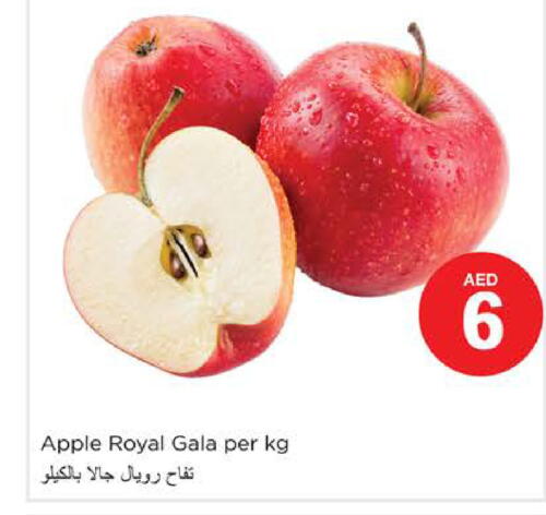  Apples  in Nesto Hypermarket in UAE - Ras al Khaimah