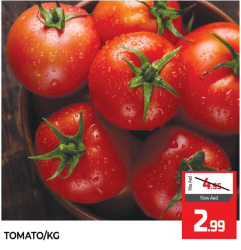  Tomato  in Al Madina  in UAE - Sharjah / Ajman
