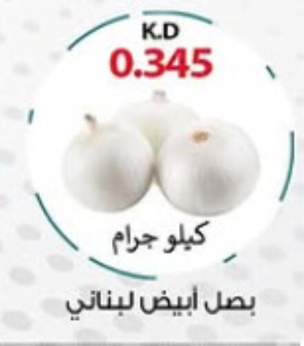 Onion available at Sabah Al-Nasser Cooperative Society in Kuwait - Kuwait City