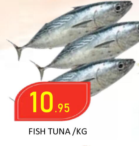 Tuna available at ROYAL GULF HYPERMARKET LLC in UAE - Abu Dhabi