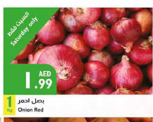  Onion  in Istanbul Supermarket in UAE - Sharjah / Ajman