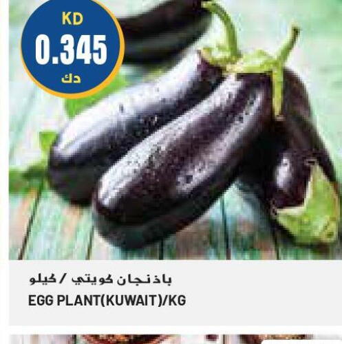  Cucumber  in Grand Costo in Kuwait - Ahmadi Governorate