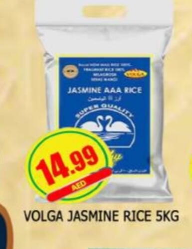 VOLGA Jasmine Rice available at AL MADINA in UAE - Sharjah / Ajman