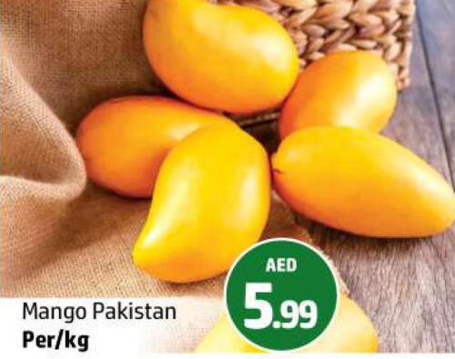 Mango Mango  in الحوت  in الإمارات العربية المتحدة , الامارات - رَأْس ٱلْخَيْمَة