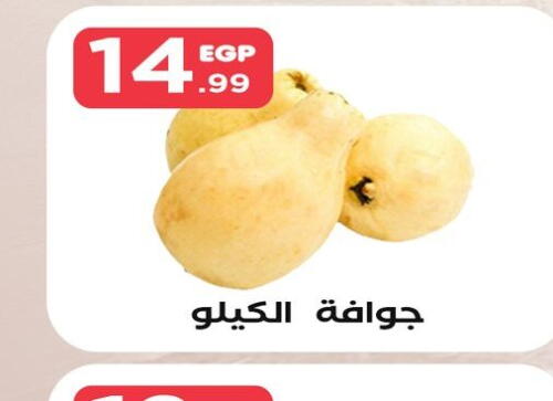  Guava  in المحلاوي ستورز in Egypt - القاهرة