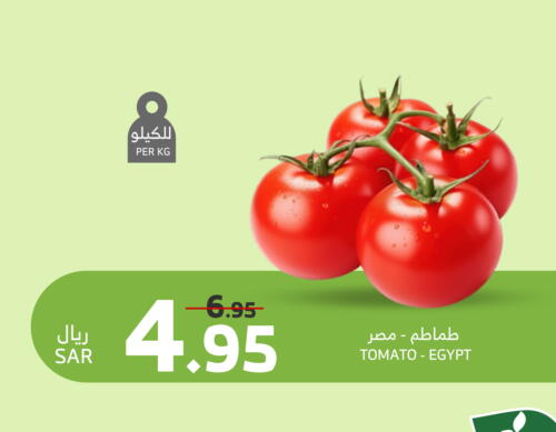 Tomato from Egypt available at Al Raya in KSA, Saudi Arabia, Saudi - Najran