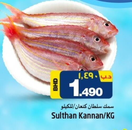 available at نستو in البحرين
