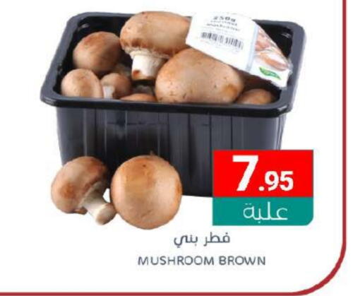 Mushroom available at Muntazah Markets in KSA, Saudi Arabia, Saudi - Saihat