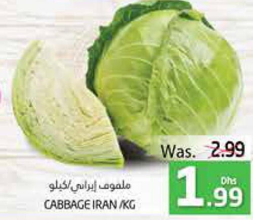  Cabbage  in PASONS GROUP in UAE - Al Ain