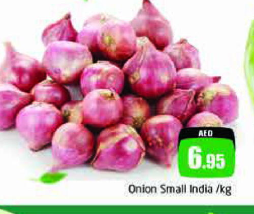 Onion from India available at PASONS GROUP in UAE - Dubai