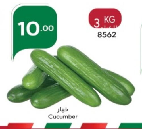 Cucumber