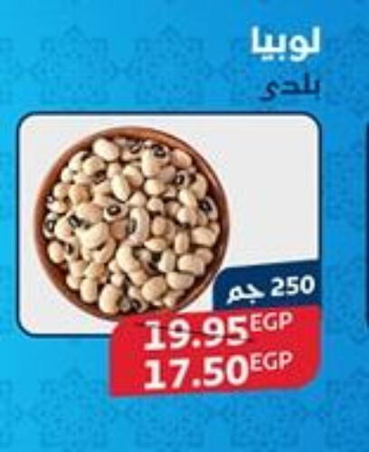 available at اكسبشن ماركت in Egypt - القاهرة