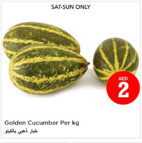  Cucumber  in نستو هايبرماركت in الإمارات العربية المتحدة , الامارات - الشارقة / عجمان